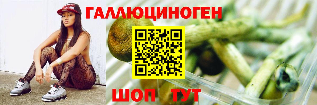 Галлюциногенные грибы GOLDEN TEACHER Ейск